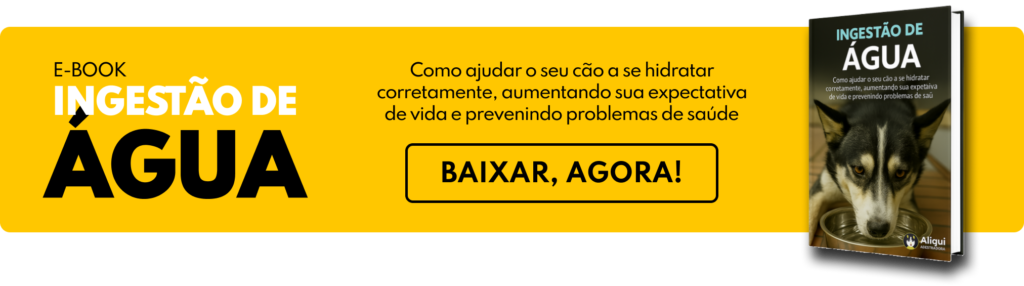 xixi-e-coco-na-rua